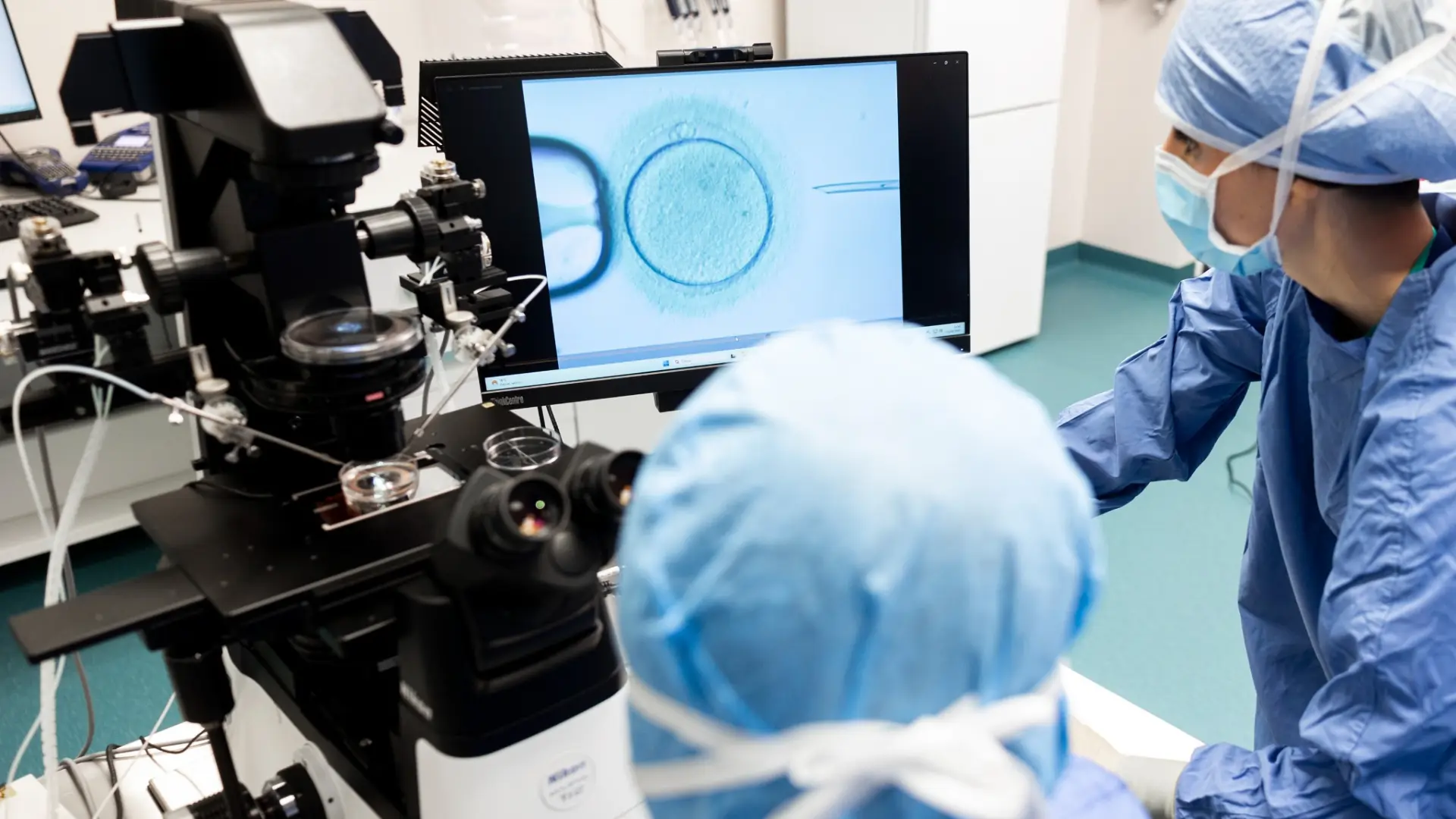 Embriologi Genera al lavoro in laboratorio davanti al monitor del microscopio